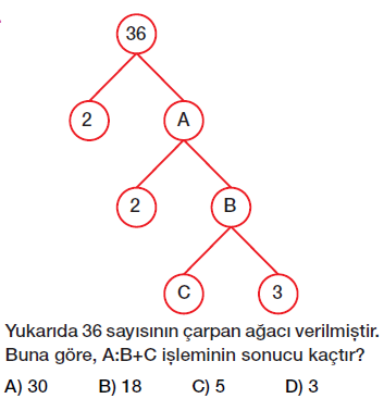 6. sınıf çarpanlar ve katlar testi çöz