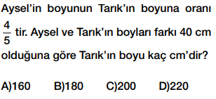 6. sınıf oran testi çöz cevap anahtarlı