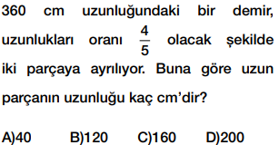 6. sınıf oran testi çöz cevap anahtarlı