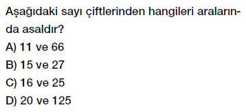 8. Sınıf aralarında asal sayılar testi çöz, pdf indir