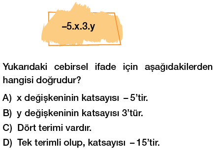 8. sınıf cebirsel ifadeler testi çöz