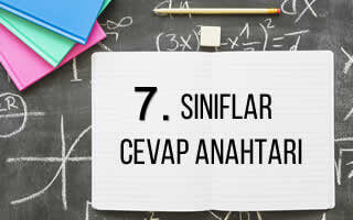 cvp-7