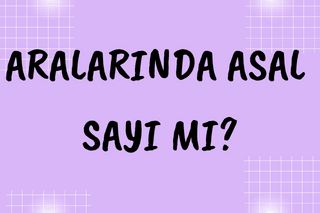 aralarinda-asal-sayi-mi-hesaplama
